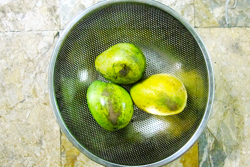 Xoài chín được người dân thu hoạch.