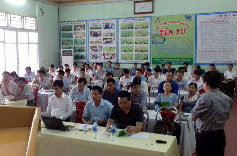 tập huấn về phòng trừ bệnh lùn sọc đen Phương Nam hại lúa cho 180 cán bộ phụ trách lĩnh vực nông nghiệp 