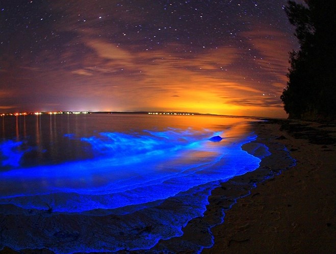 Bãi biển Glow-In-The-Dark, Vaadhoo, Maldives. Sự xuất hiện của "bầu trời" trên mặt biển Maldives này là do thực vật phù du phát sáng. Những sinh vật này quá nhỏ để nhìn thấy, nhưng tập hợp lại với nhau, tạo ra một dải ánh sáng tuyệt vời.