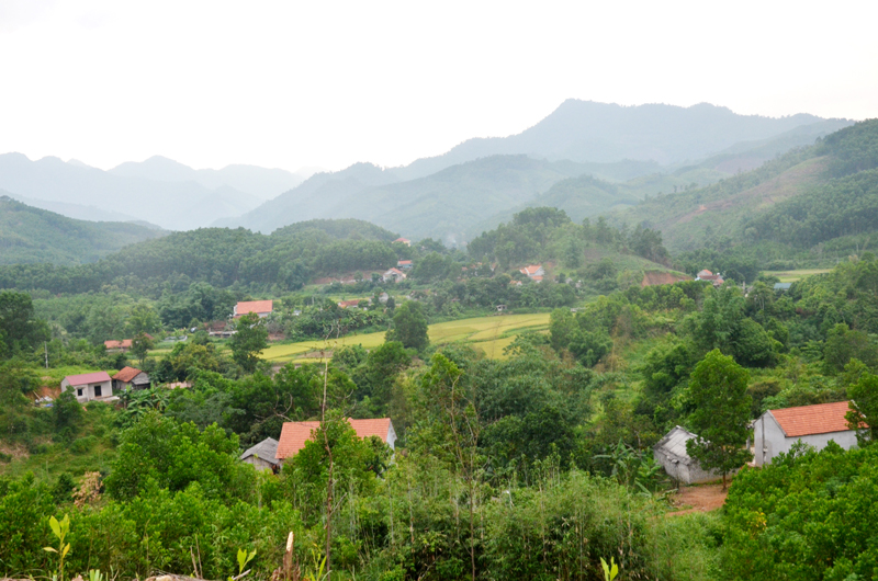 Phủ Liễn ngày mới.