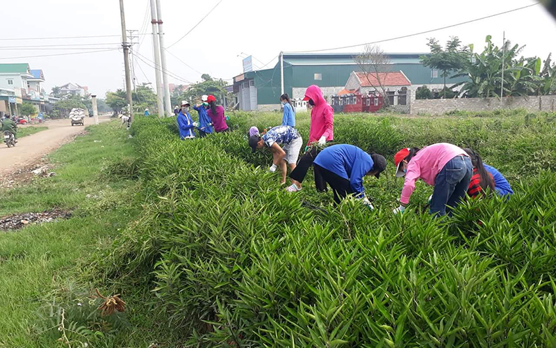 Khu vực đầu tuyến đường chợ Quán- Tiền Phong thuộc địa bàn xã Liên VỊ trước kia là bãi rác nay đã được thay bằng vườn hoa, cây cảnh .