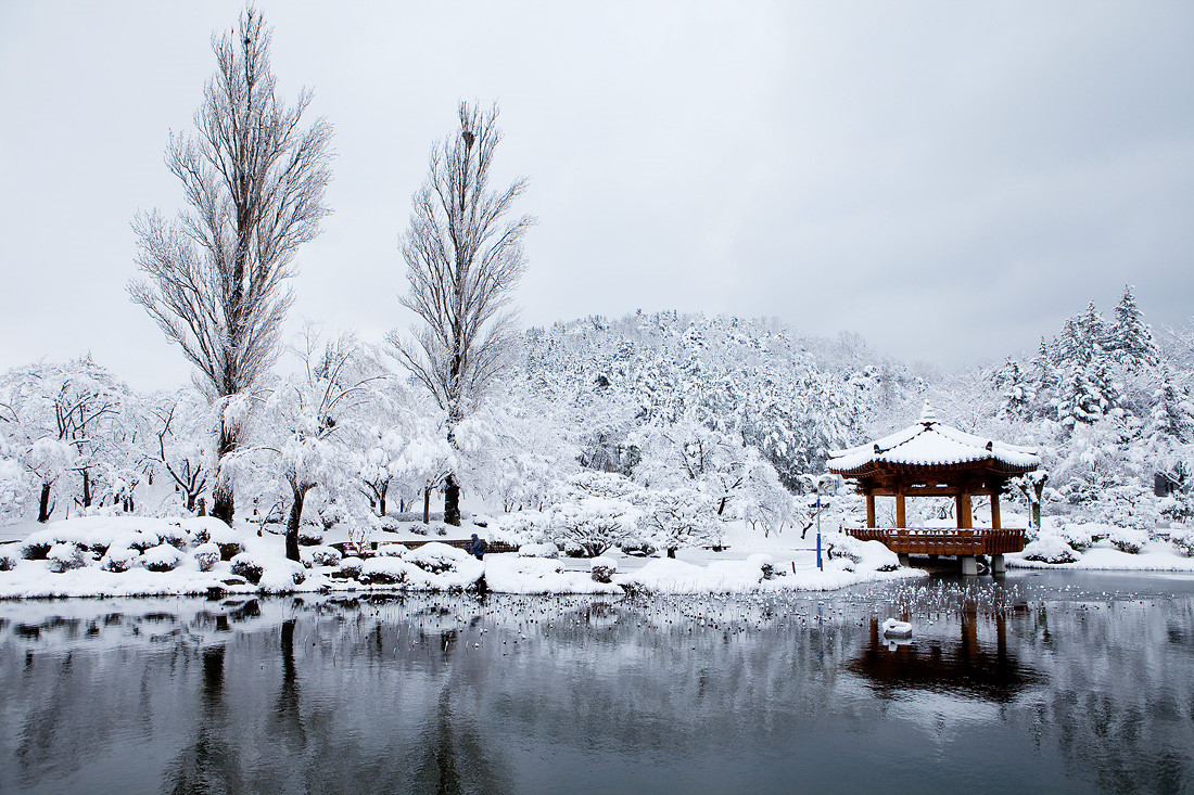  Vọng lâu Bomun (Gyeongju): Gyeongju, cố đô của triều đại Shilla, mang vẻ đẹp xưa cũ của một triều đại hưng thịnh. Tại mảnh đất cố đô, có nhiều danh thắng lịch sử, trong đó có vọng lâu Bomun, một vọng lâu nhỏ bằng gỗ bên bờ ao tĩnh lặng, địa điểm lý tưởng để thưởng thức cảnh xuân của Hàn Quốc. Quanh vọng lâu là vẻ đẹp thay đổi theo mùa, mùa xuân có hoa anh đào, mùa hè xanh mát, mùa thu rợp lá vàng và mùa đông phủ đầy tuyết trắng. Ảnh: Luluk17.