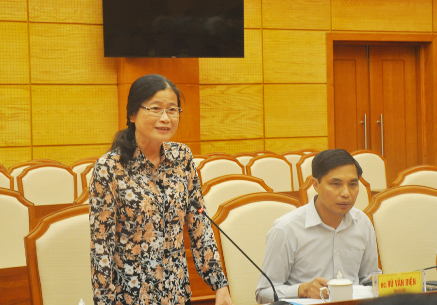 Phó Bí thư Thường trực Tỉnh uỷ Đỗ Thị Hoàng phát biểu tại buổi làm việc.