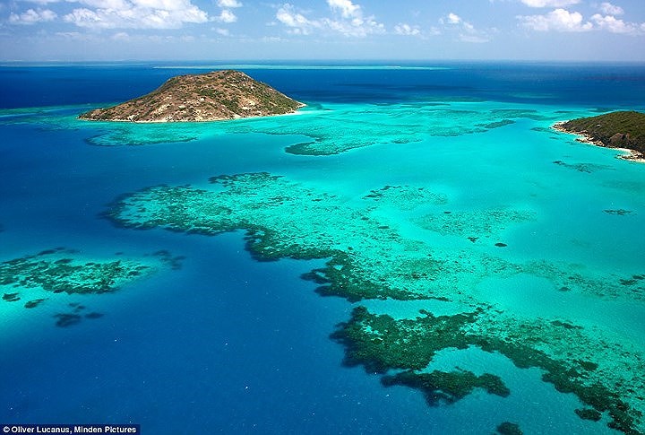  Đảo Lizard, Australia. Lizard là một trong những cái tên luôn nằm trong top đầu các hòn đảo quyến rũ nhất Australia. Hòn đảo này nằm cách bờ 17 dặm, có không ít hơn 24 bãi biển và từ đây du khách có thể tiếp cận trực tiếp tới rạn san hô lớn nhất thế giới Great Barrier.