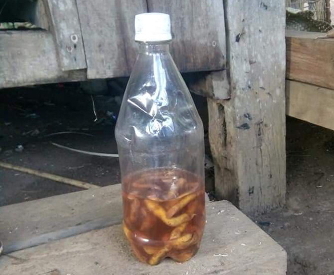 Chai rượu ngâm rễ cây mà 2 nạn nhân uống còn thừa. Ảnh: Thanh Đức.