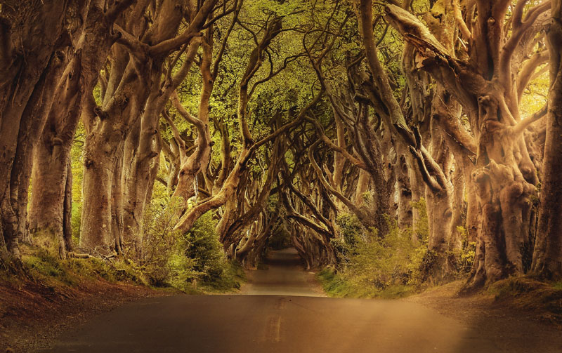 4. Ireland Quốc đảo Ireland xếp thứ 4 trong top các quốc gia hàng đầu về trải nghiệm du lịch. Đất nước giàu truyền thống văn hóa với các di tích lịch sử và phong cảnh tuyệt đẹp mang đến nhiều trải nghiệm khác biệt cho du khách. Các tour du lịch khách nước ngoài quan tâm nhiều nhất khi đến Ireland là nếm rượu whisky ở thủ đô Dublin, chuyến đi bộ đường dài Howth Peninsula. Ảnh: Darkmoon1968.