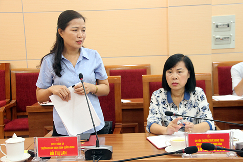 Đồng chí Đỗ Thị Lan, Trưởng đoàn ĐBQH tỉnh phát biểu tại cuộc họp. 