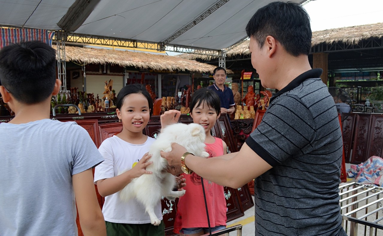 Vui nhất có lẽ là những khách hàng nhí, các em chăm chú đến không thể rời mắt khỏi những chú chó, mèo cảnh rất đáng yêu