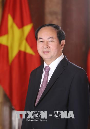 Chủ tịch nước Trần Đại Quang. Ảnh: TTXVN