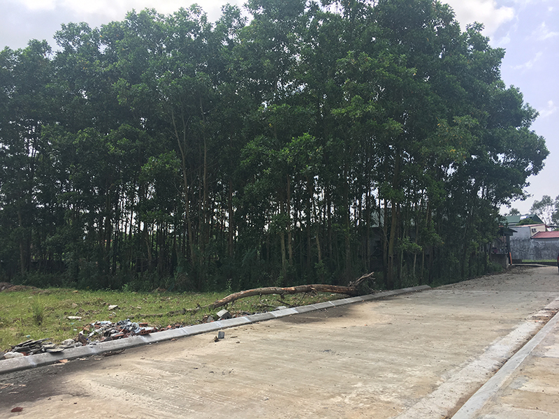 ự án quy hoạch cấp đất dân cư tổ 7, khu 9, phường Thanh Sơn cũng đang bị kéo dài.