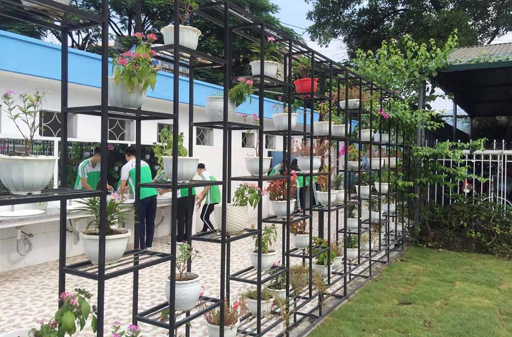 Phía trước nhà vệ sinh Trường THPT Hoàng Quốc Việt còn có giàn hoa rất đẹp.