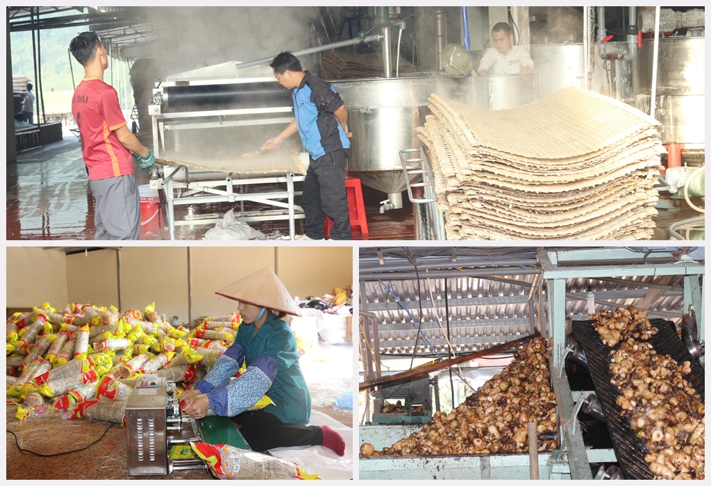 Sản xuất miền dong Bình Liêu