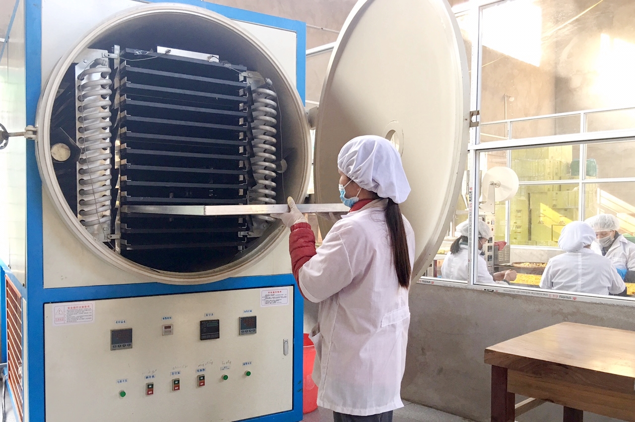 ông ty CP kinh doanh lâm sản Đạp Thanh (xã Đạp Thanh) của ông Nịnh Văn Trắng chuyên sản xuất, chế biến trà hoa vàng đã được hỗ trợ máy sấy lạnh công nghệ cao