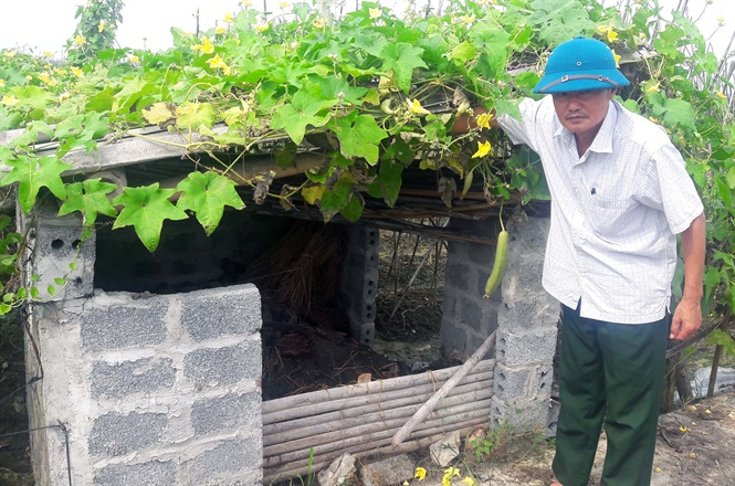 Hố ủ phân rau an toàn tại thị trấn Vạn Hà