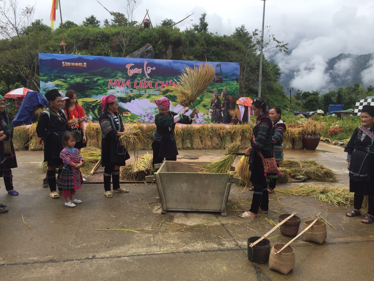 Tuần lễ Mùa lúa chín.