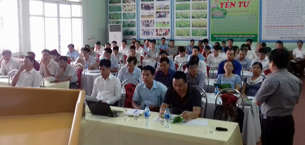 Chi cục Trồng trọt và BVTV tỉnh phố hợp tập huấn chuyên sâu về phòng trừ lùn sọc đen Phương Nam cho cán bộ phụ trách nông nghiệp các địa phương khu vực miền Tây
