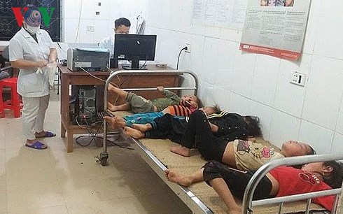 5 em nhỏ ra đồng bị ong đốt nhập viện. Ảnh: VOV.vn