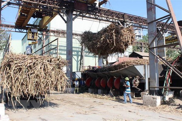Ảnh chỉ có tính minh họa. (Ảnh: Thế Lập/TTXVN)