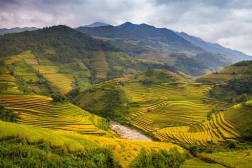 Mùa thu cũng là thời điểm thích hợp cho chuyến du lịch Sa Pa chiêm ngưỡng những ruộng lúa chín vàng, uốn quanh triền đồi hùng vĩ.