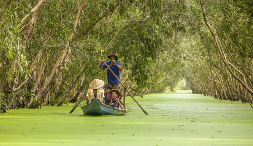 Về miền Tây, du khách sẽ không khỏi thích thú khi được lênh đênh trên những chiếc xuồng ba lá, len lỏi trong những tán rừng tràm xanh mướt, mênh mông và cảm nhận cái tình của người dân miệt vườn Nam bộ. Ảnh: Shutterstock.