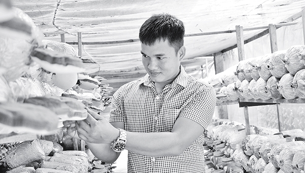 Anh Bùi Minh Thắng và sản phẩm từ trang trại của mình.