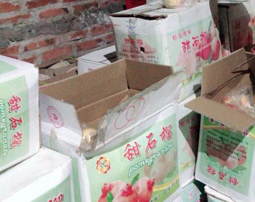 Tang vật thu giữ.