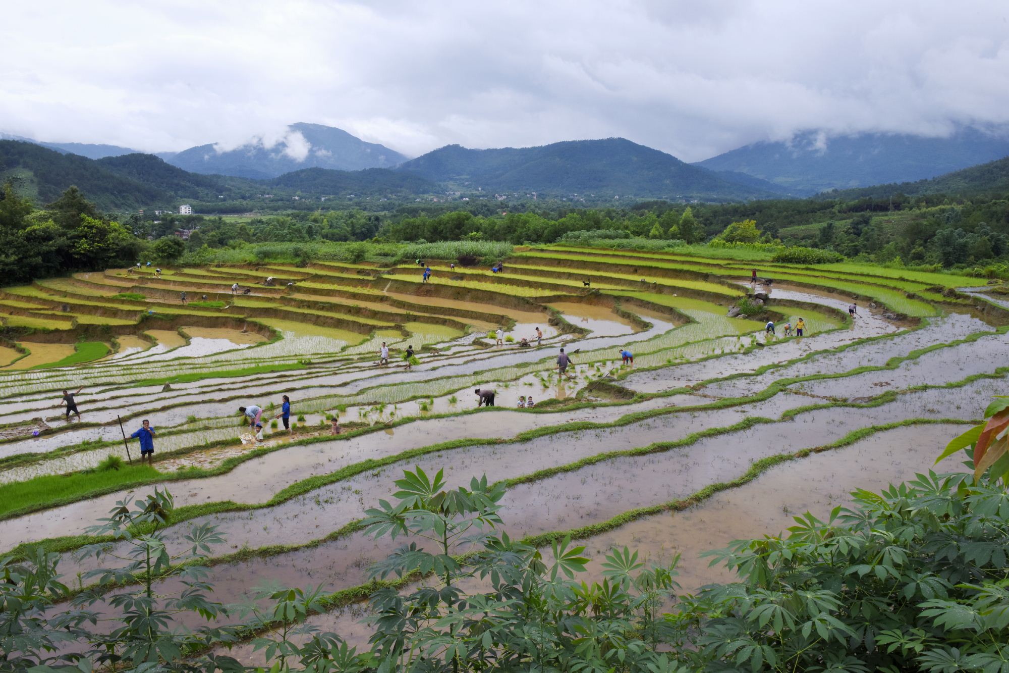 Chụp ngày 28 - 7 - 2018