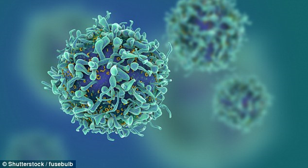 Loại thuốc đầu tiên điều trị HIV được thử nghiệm an toàn và thành công trong giai đoạn 1 ở người. Ảnh: Dailymai. Phương thức chữa trị đầu tiên có hiệu quả, nhưng chỉ hiệu nghiệm duy nhất một lần