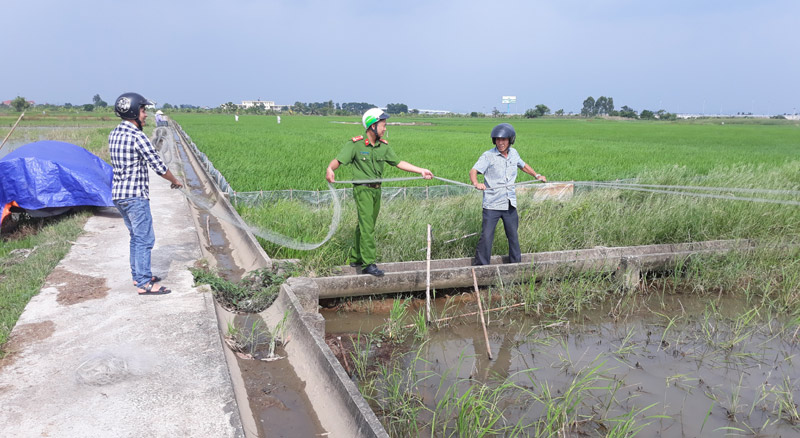 Lực lượng chức năng phường Nam Hòa (TX Quảng Yên) thu hồi lưới giăng để bẫy chim tại các xứ đồng.