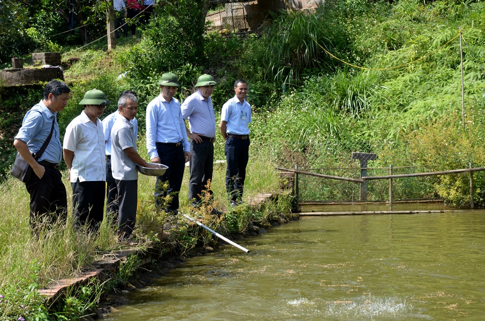 Các đại biểu tham quan mô hình vườn mẫu của hộ ông Phạm Đức Học (xã Tân Bình).
