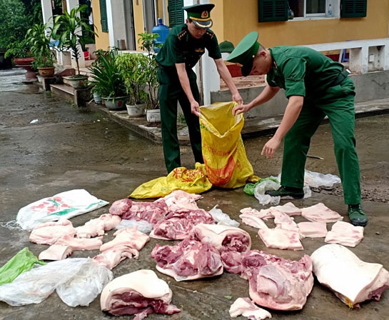 Đồn BPCK Hoành Mô phát hiện, thu giữ, tiêu hủy 150 kg thịt lợn nhập lậu từ Trung Quốc.