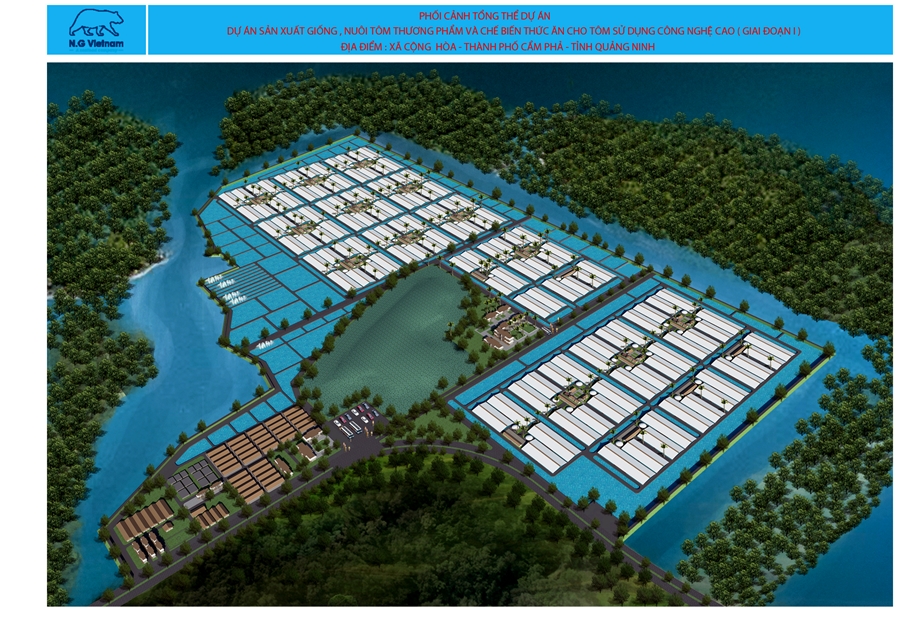 Phối cảnh tổng thể dự án nuôi tôm công nghệ cao tại xã Cộng Hòa. 