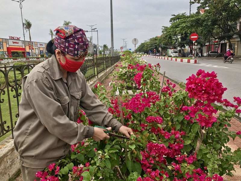 Chị em phường Yên Thanh chăm sóc cung đường hoa trên địa bàn