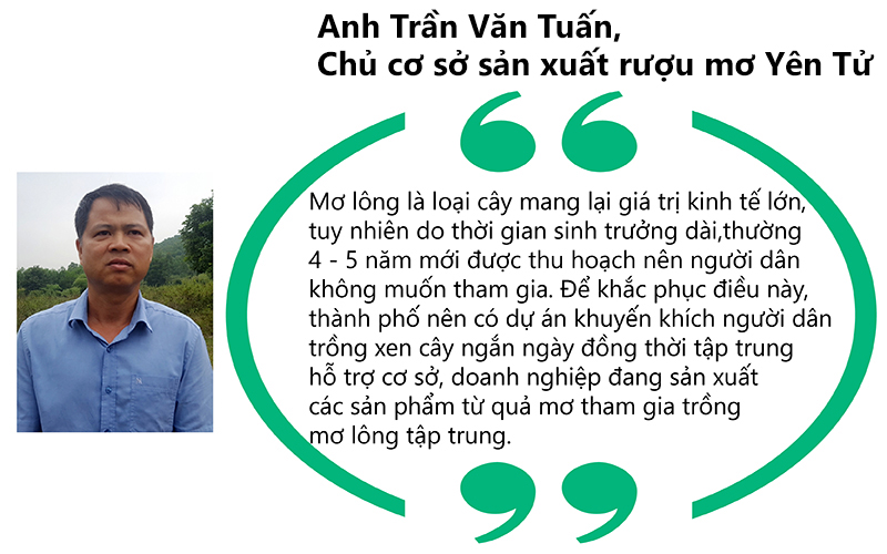 Tuan-quote.jpg