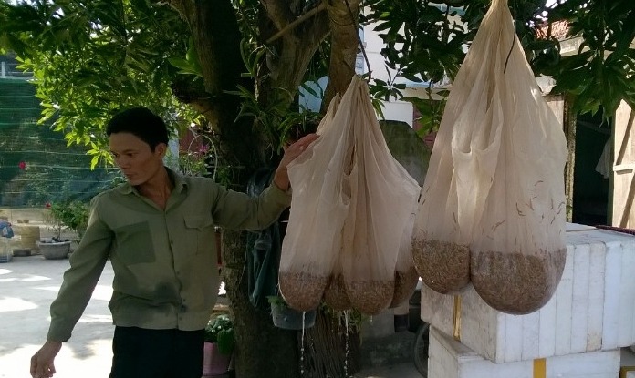 Sau khi được vớt lên, rươi được để ráo nước để xuất cho người thu mua