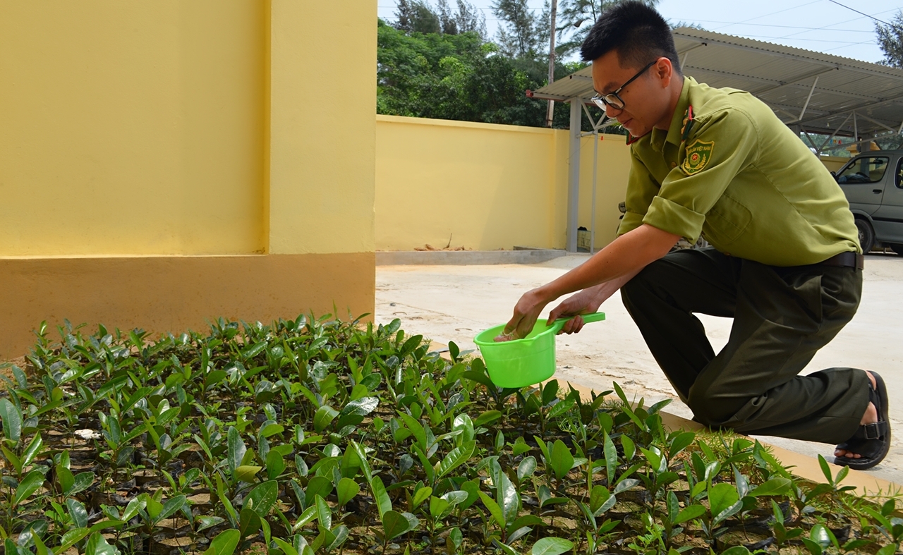 Cán bộ kiểm lâm huyện Cô Cô chăm chút cây chõi giống để trồng bổ sung rừng 