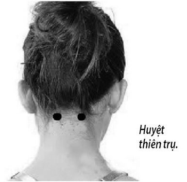 Huyệt thiên trụ