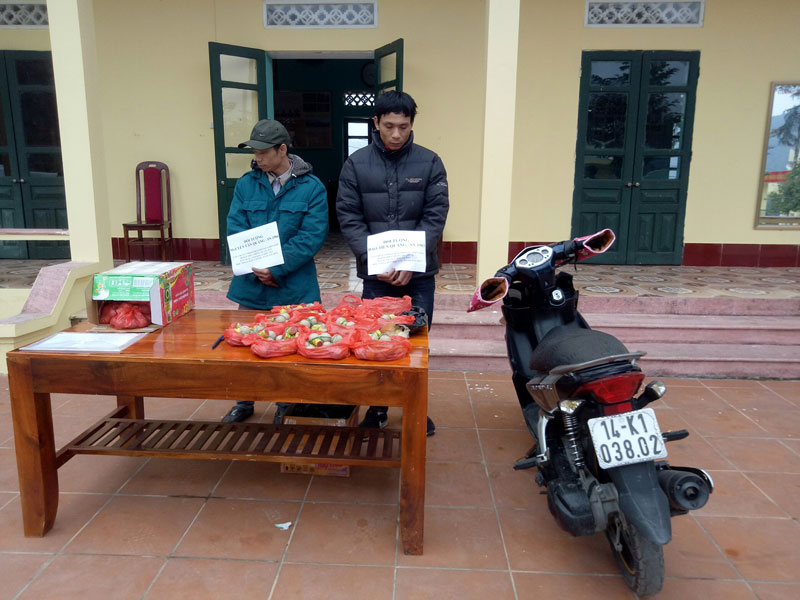 Hai đối tượng vận chuyển trái phép 10,8 kg pháo nổ tại khu vực bản Vắn ốc, xã Quảng Đức bị lực lượng chức năng bắt giữ ngày 13/1/2018 tại khu vực bản Vắn Tốc, xã Quảng Đức.