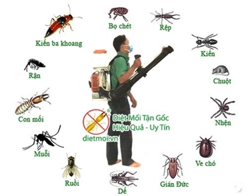 Việt Nam chưa có cơ sở dữ liệu quốc gia về hóa chất diệt côn trùng. Ảnh: KT