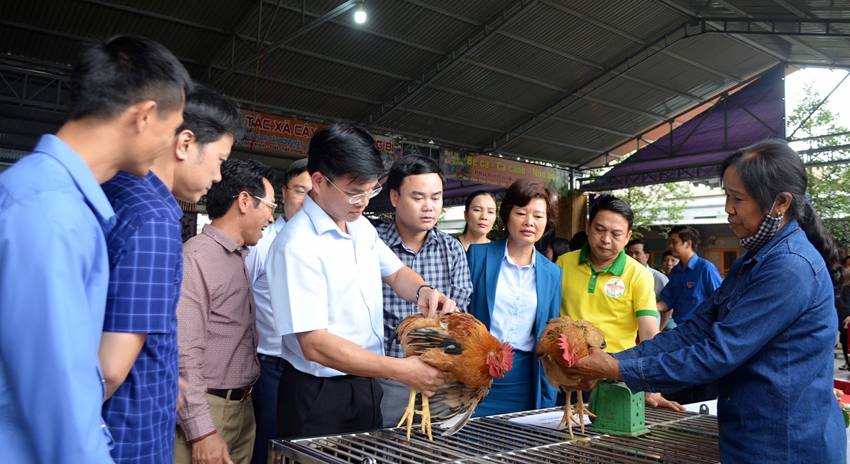 Chủ tịch UBND thành phố Nguyễn Mạnh Hà kiểm tra sản phẩm của mô hình nuôi gà ri vàng rơm tại chợ cảnh Uông Bí.