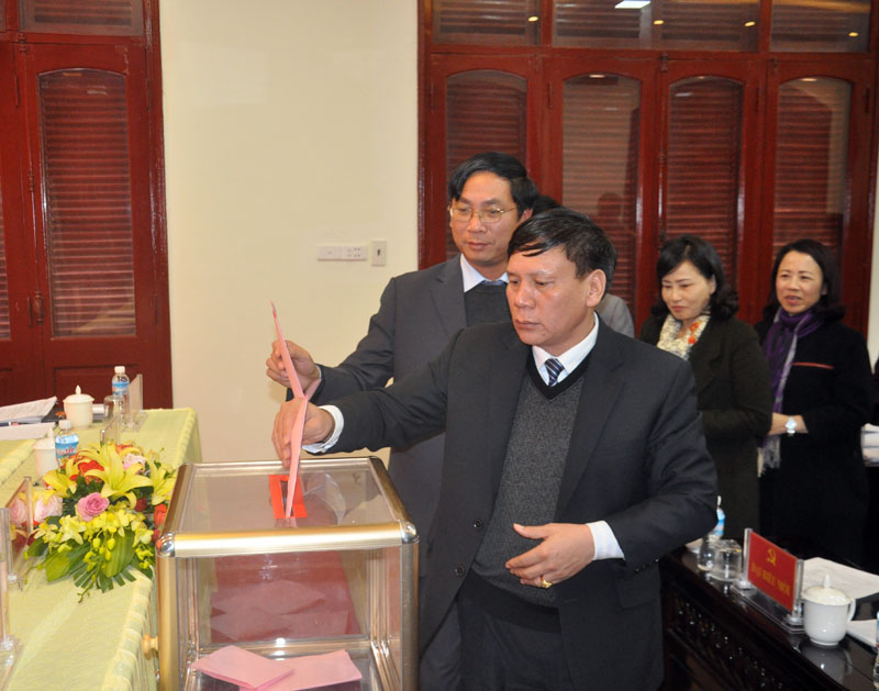 Thành phố Móng Cái bỏ phiếu bầu, kiện toàn ủy viên Ủy ban kiểm tra thành ủy nhiệm kỳ 2015-2020.
