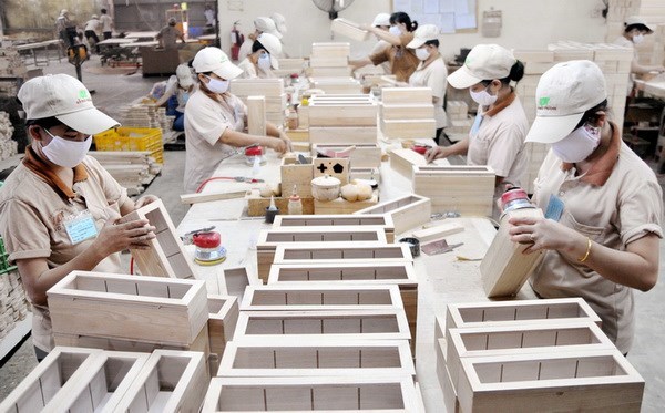 Một dây chuyền sản xuất gỗ xuất khẩu. (Ảnh: An Hiếu/TTXVN)