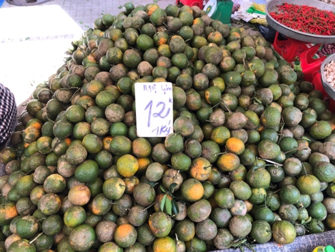Cam sành ở chợ Phạm Văn Hai (TP.HCM) chỉ còn 12.000 đồng/kg, bán đổ đống.