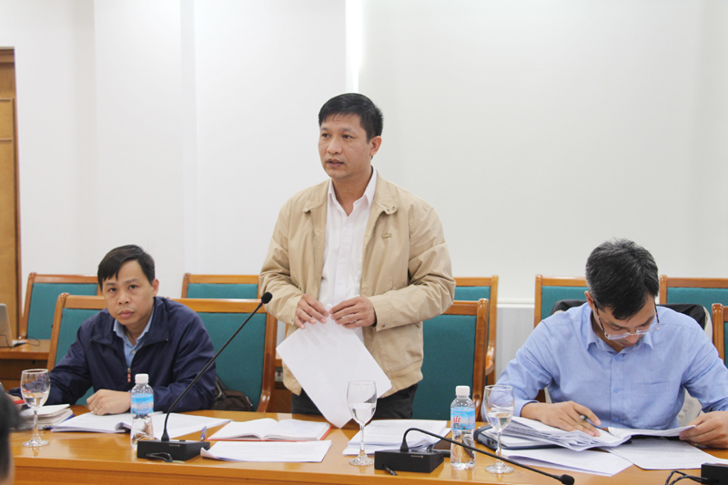 Đại diện Tổ công tác Thanh tra Chính phủ phát biểu