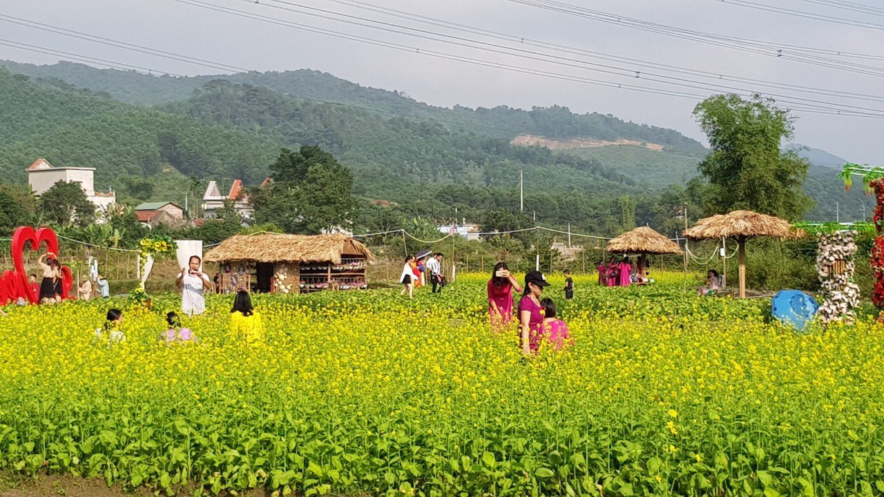 Bình quân