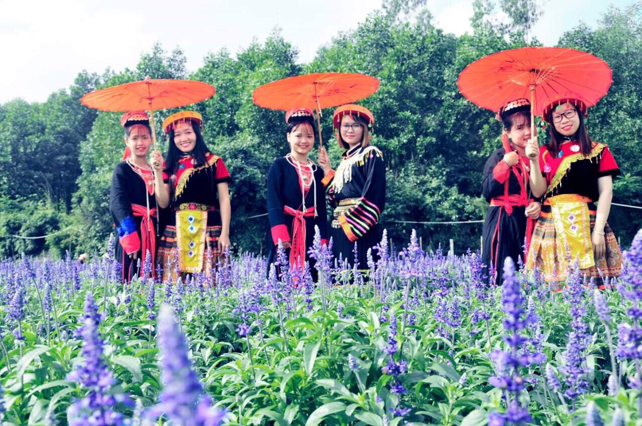 Du khách có thể