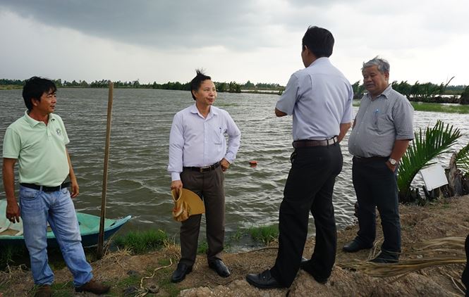 Tham quan mô hình tôm - lúa tại huyện Vĩnh Thuận, tỉnh Kiên Giang.