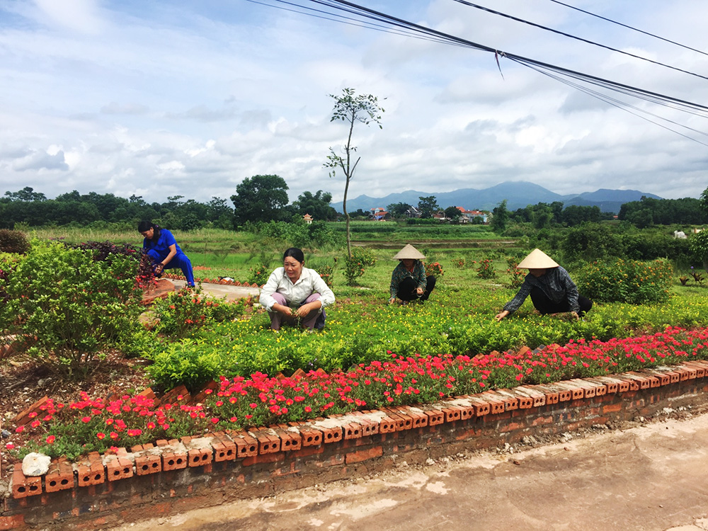 Tuyến đường hoa ở xã Đông Hải, huyện Tiên Yên.