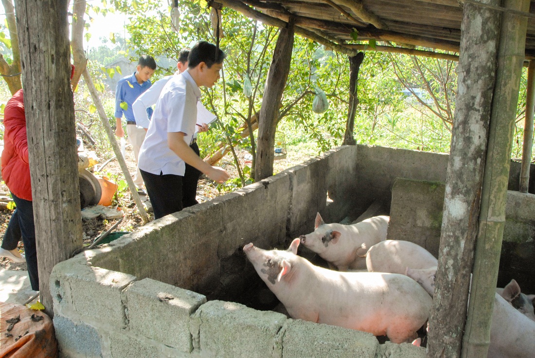 Cán bộ Ban Văn hóa - Xã hội, HĐND tỉnh, khảo sát việc hỗ trợ hộ nghèo về sản xuất, chăn nuôi tại thôn Đồng Thầm, xã Thanh Lâm (Ba Chẽ).