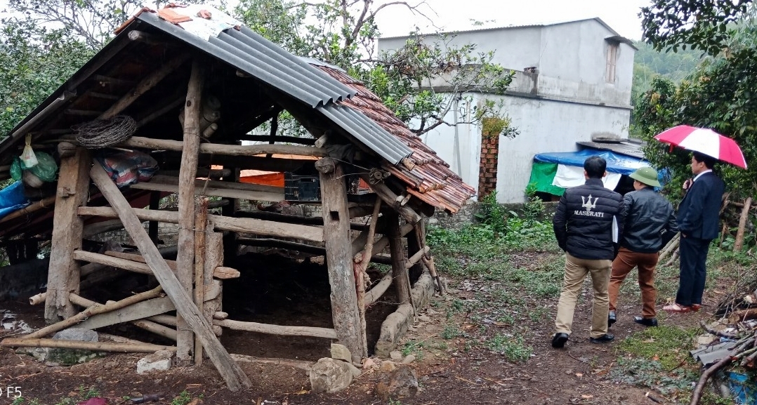Ngay từ sớm, xã Thượng Yên Công, TP Uông Bí đã vận động người dân di chuyển trâu bò ra khỏi các chuồng trại tạm, không đủ điều kiện chống rét